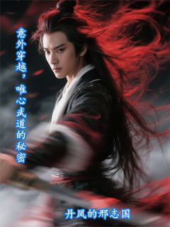 《意外穿越,唯心武道的秘密》方灿林婉儿精彩章节在线阅读