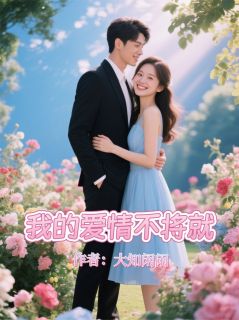 我的爱情不将就