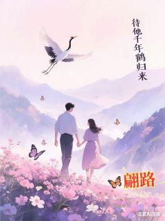 待他千年鹤归来