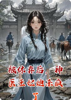 被休弃后，神医王妃她杀疯了