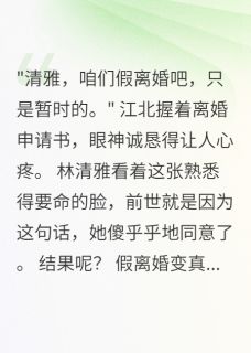 和老公假离婚后，前夫他疯了林清雅江北by倩倩的小窝在线阅读
