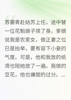 上任途中替一位花魁娘子赎了身