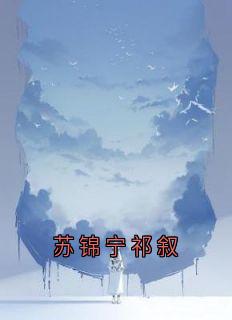 苏锦宁祁叙