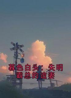 暮色白头:失明霸总的追妻