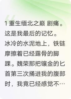 重生之血色缅北小说完整版在线阅读（主角王琛林沐阳）