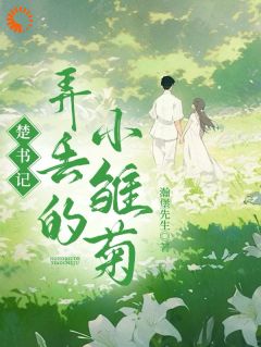 《楚书记弄丢的小雏菊》简初楚淮序全文精彩试读