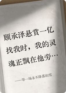 等一场永不降落的雪