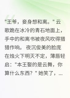 《王爷的心尖替身》云歌夜沉云舞全文在线试读