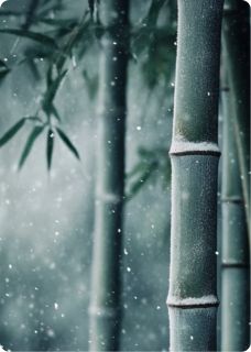 灵汐夜渊by黄茅岛的玉白 霜雪满途,为你而来小说全文阅读