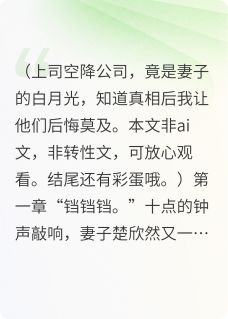 小说《上司是妻子的白月光》林济阳楚欣然全文免费阅读