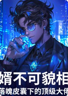 婿不可貌相:落魄下的顶级大佬