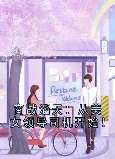 商战滔天:从美女领导司机开始!