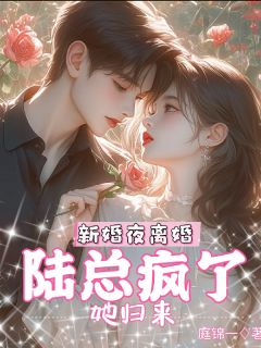 新婚夜离婚,她归来,陆总疯了