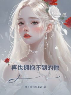 《再也拥抱不到的他》宁轲苏苑章节列表在线试读