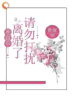 齐台长,离婚了请勿打扰