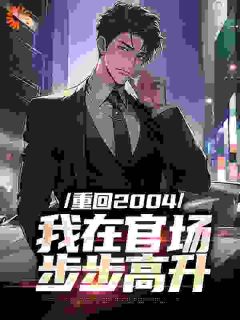 重回2004：我在官场步步高升