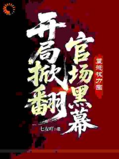 官场逆袭之上司的U盘救了我命！