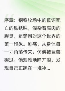 钢铁御兽:天才驭灵师穿越废土