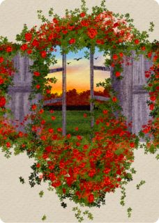 失落的玫瑰公馆