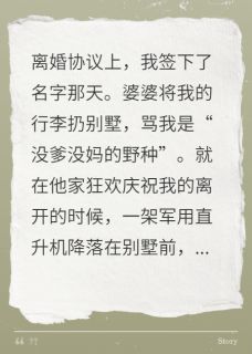 婆婆骂我野种时，军区飞机来接我小说试读_张临安陆淮许清微小说全文章节列表