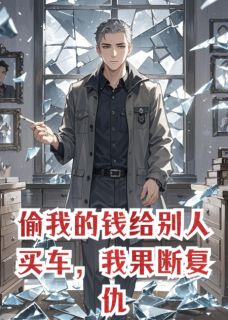 偷我的钱给别人买车,我果断复仇全文免费阅读 苏晚意邰振邦小说最新章节完整版