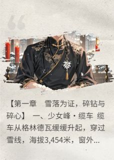 雪落云归时,风雨同舟去