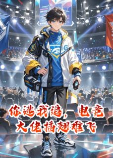 你逃我追,电竞大佬插翅难飞