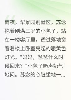 《她抢走我身份还要抢我儿子》苏念江婉清顾慕晨小说最新章节目录及全文完整版