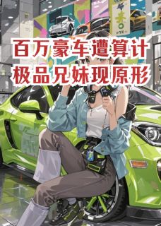 百万豪车遭算计,极品兄妹现原形