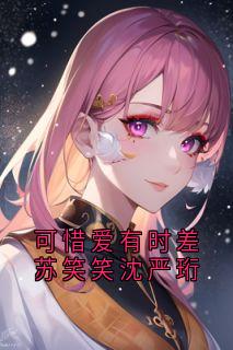 可惜爱有时差苏笑笑沈严珩