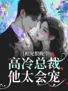 相见恨晚!高冷总裁他太会宠