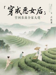 穿成恶女后：空间养出全家大佬