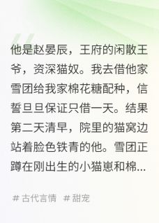 《拐了王爷的猫，还拐了王爷的人》雪团赵晏辰完结版精彩试读
