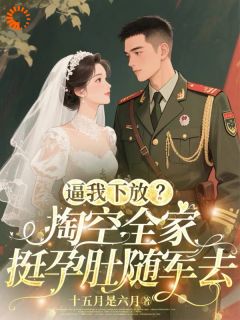 《逼我下放？掏空全家挺孕肚随军去》小说完结版精彩试读 桑榆晚宴回小说阅读