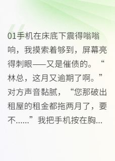 《破产CEO的温婉保姆》小说章节列表免费试读 苏晚照周明远陈默小说全文