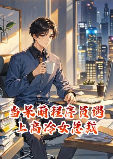 当呆萌程序员遇上高冷女总裁