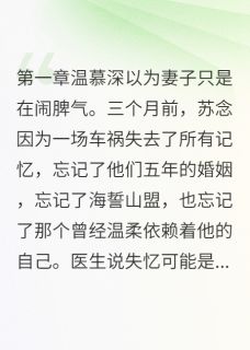 失忆后我不认识老公了主角苏念温慕深小雨小说精彩章节全文免费试读