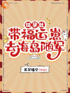 挺孕肚,带福运崽去海岛随军许晚臻萧正霆by若是晴空在线阅读