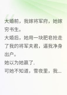 逼我让位穿越女，改嫁敌国当太后