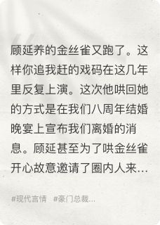 顾延沈斯言钟情章节目录 老公养的金丝雀又跑了全文阅读