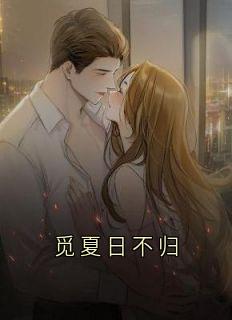 觅夏日不归