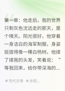 主角是沈远小蹊的小说在哪看 《我守着他的微信,等绿色的点亮起》小说阅读入口