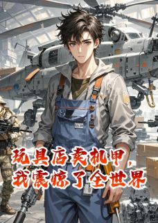 玩具店卖机甲，我震惊了全世界