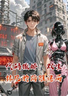 代码撒娇:双生林凡的跨维迷局