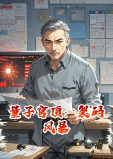 林启明周骁书名叫什么_量子穹顶:裂码风暴