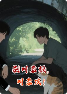 别叫老板,叫老攻