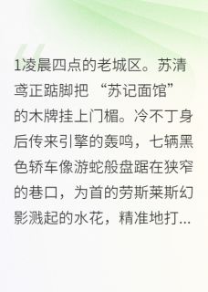 《总裁的醋坛打翻在阳春面里》小说章节列表精彩试读 陆知衍苏清鸢小说阅读