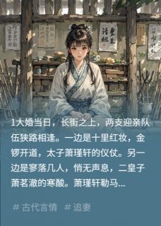 逃婚当晚,我把敌国太子折成奴萧茗澈萧瑾轩 萧茗澈萧瑾轩小说阅读