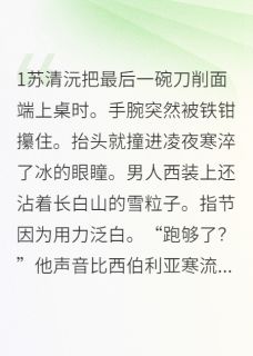 总裁的刀削面有点甜主角苏清沅凌夜寒全文精彩内容在线试读