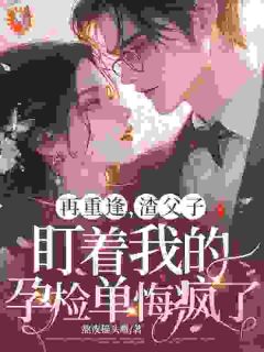 再重逢，渣父子盯着我的孕检单悔疯了许晚晴沈墨寒全文在线免费阅读